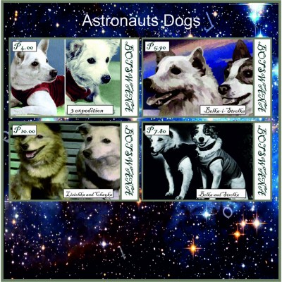 Космос Космические собаки